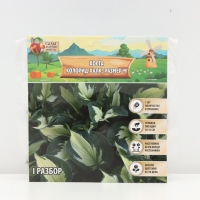 Хоста Colored Hulk, корневище в пакете с торфогрунтом, р-р I, размер M,1 шт.