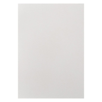 Бумага для пастели А3, 10 листов De Luxe, 160 г/м2, слоновая кость и тёмно-коричневый, в папке Бумага для пастели А3, 10 листов De Luxe, 160 г/м2, слоновая кость и тёмно-коричневый, в папке