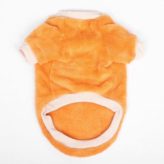 Свитер Свитер "Мандарин", велюр, размер XL (ДС 40, ОШ 33, ОГ 50 см), оранжевый