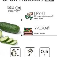 Семена Огурец "Пальчик", 0.5 г