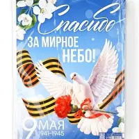 Плакат на 9 мая &laquo;Спасибо за мирное время&raquo;, 30&times;40 см