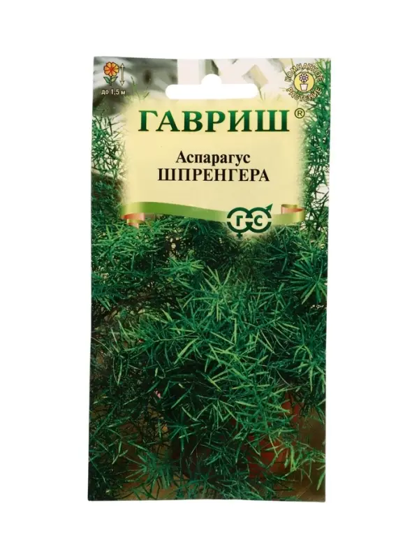 Семена цветов Аспарагус густоцветковый Шпренгера*  4 шт.
