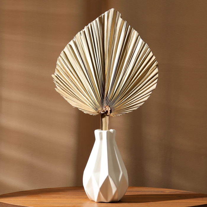 Сухие цветы «Лист пальмовый», 50 × 25 × 2 см Сухие цветы «Лист пальмовый», 50 × 25 × 2 см