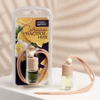 Ароматизатор подвесной &laquo;Сочного настроения&raquo;, аромат: цитрус, 5 мл