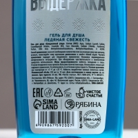 Подарочный набор косметики новогодний &laquo;Твои возможности безграничны&raquo;, гель для душа и шампунь для волос , 2 х 250 мл, Новый Год