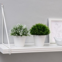 Бонсай "Цветная травка" 12 см, микс