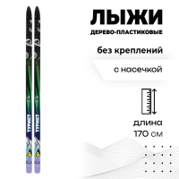 Лыжи дерево-пластиковые «Турист», 170 см, с насечкой Лыжи дерево-пластиковые «Турист», 170 см, с насечкой