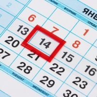 Календарь квартальный мини-трио "Нежные пионы" 2025 год, 19,5 х 47 см Календарь квартальный мини-трио "Нежные пионы" 2025 год, 19,5 х 47 см