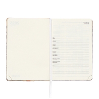 Ежедневник датированный 2025 года A5 168 листов, deVENTE. Expert, интегральная обложка кожзам, карман, перфорация, ляссе, кремовый блок 70 г/м2, серый