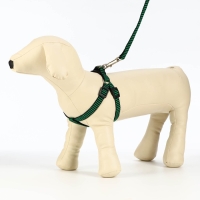 Комплект амуниции рельефный, 1,5 см, шлейка 36-49 см, поводок 120 см, зелёно-чёрный Комплект амуниции рельефный, 1,5 см, шлейка 36-49 см, поводок 120 см, зелёно-чёрный