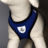 Комплект амуниции с мягкой шлейкой и светоотражающей нашивкой, L, ОШ 33 см, ОГ 36-48 см, синий 76143