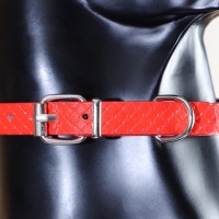 Ошейник рифленый с 2 рядами клепок, 33 х 1,2 см, ОШ 23-29, красный Ошейник рифленый с 2 рядами клепок, 33 х 1,2 см, ОШ 23-29, красный