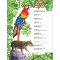Энциклопедия «Удивительные животные» Энциклопедия «Удивительные животные»