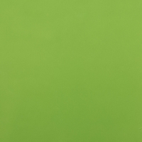 Пленка матовая, неоновые цвета, зелёная, 0,5 х 10 м, 65 мкм