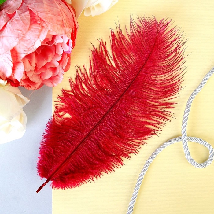 Перо для декора 1 шт., размер 24 см, цвет бордовый