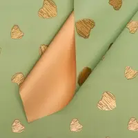 Пленка матовая &laquo;Золотые сердца&raquo;, лаймовый, 58&times;58 см