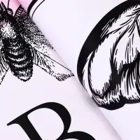 Пленка для цветов, &laquo;Бабочки&raquo;, розовый, 57&times;57&plusmn;1 см