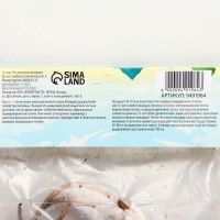 Хоста American Halo, р-р I, корневище в пакете с торфогрунтом, размер L,1 шт.