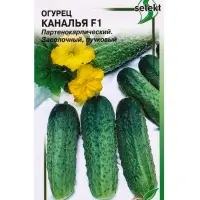 Семена Огурец Каналья F1 8 шт