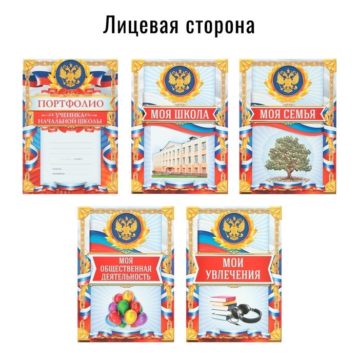 Папка школьная на кольцах &laquo;Портфолио школьника&raquo;, 10 листов-разделителей, 24,5 х 32 см.