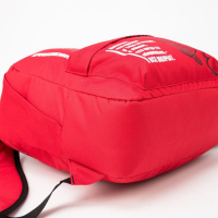 Рюкзак «Герб», 31х13х41, отд на молнии, н/карман, красный Рюкзак «Герб», 31х13х41, отд на молнии, н/карман, красный