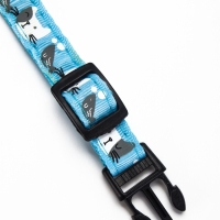 Ошейник "Котята", 40 х 1,5 см, голубой