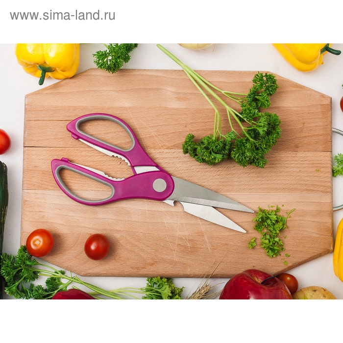 Ножницы кухонные Доляна &laquo;Генри&raquo;, 23 см, цвет МИКС