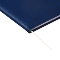 Дневник универсальный для 1-11 классов Dark blue, твёрдая обложка, искусственная кожа, резинка, ляссе, 48 листов