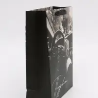 Пакет подарочный &laquo;Поздравляю&raquo;, M 25,5 &times; 30 &times; 9 см