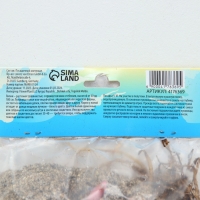 Лилия Восточная «Дабл Мэджик Стар», луковица в пакете с перфорацией, р-р 12/14, 3 шт. Лилия Восточная «Дабл Мэджик Стар», луковица в пакете с перфорацией, р-р 12/14, 3 шт.