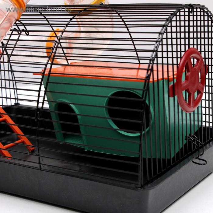 Клетка для грызунов Клетка для грызунов "Саквояж", малая, с лабиринтом, 40 х 25 х 21 см, микс цветов