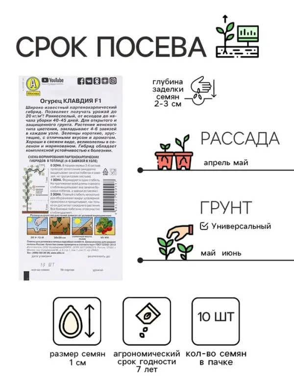 Семена Огурец "Клавдия F1", раннеспелый, партенокарпическии, 10 шт