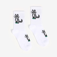 Носки женские, цвет белый/енот, размер 25