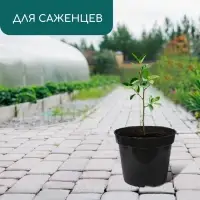 Горшок для рассады, 3 л, d=19 см, h=15 см, пластик, чёрный, Greengo