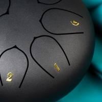 Глюкофон - музыкальный инструмент, черный, 8 лепестков, 15 х 9 см Глюкофон - музыкальный инструмент, черный, 8 лепестков, 15 х 9 см