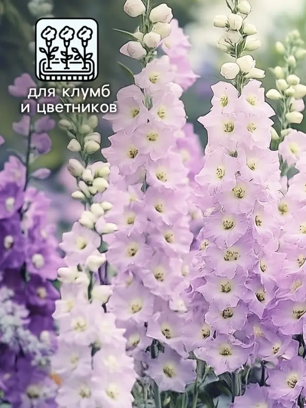 Семена цветов Дельфиниум "Джиневер культурный", ц/п,  0,05 г