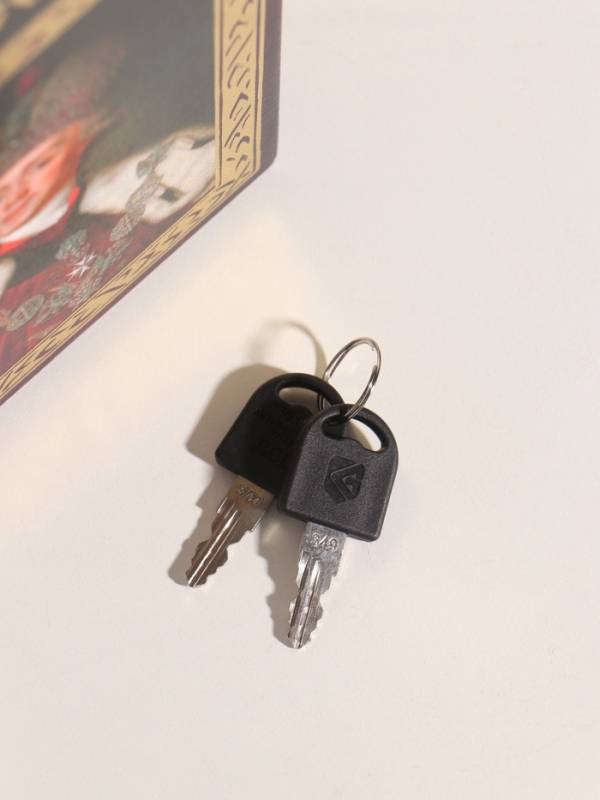 Сейф-книга дерево кожзам "Цари и императоры России" тиснение 21х13х5 см