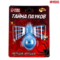 Растущие игрушки &laquo;Тайна пауков&raquo;