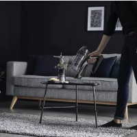 Беспроводной пылесос X-Force Flex 14.60 Animal Care TY99A8WO