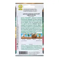 Семена Цинния Сенсация, смесь сортов   Одн Золотая серия Ц/П 12шт