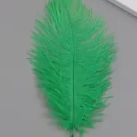 Перо декоративное страуса "Хвоя" h=15-20 см