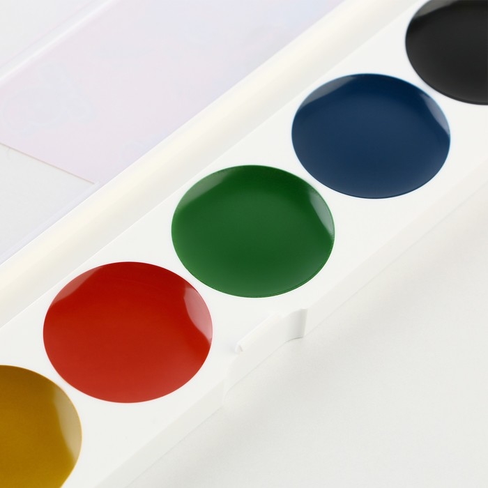 Акварельные краски 6 цветов в пластиковой коробке, без кисти &laquo;1 сентября&raquo;