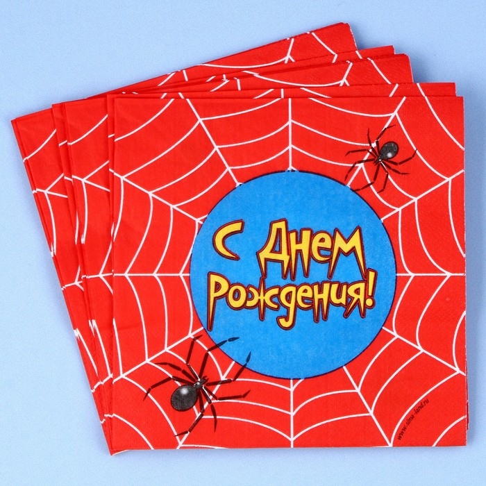 Набор для праздника &laquo;С днём рождения. Паутина&raquo;