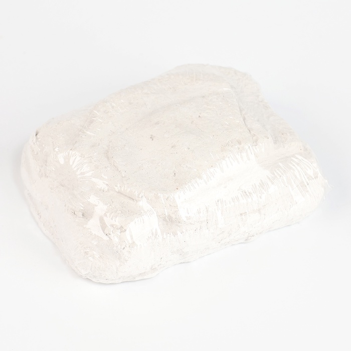 Набор для раскопок &laquo;В поисках змейки&raquo;, с инструментами