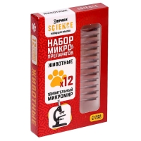 Набор для опытов &laquo;Набор микропрепаратов&raquo;, животные