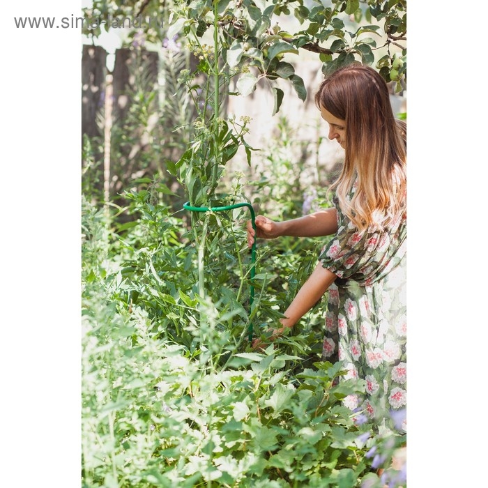 Кустодержатель для цветов, d = 20 см, h = 120 см, ножка d = 1 см, металл, зелёный Кустодержатель для цветов, d = 20 см, h = 120 см, ножка d = 1 см, металл, зелёный