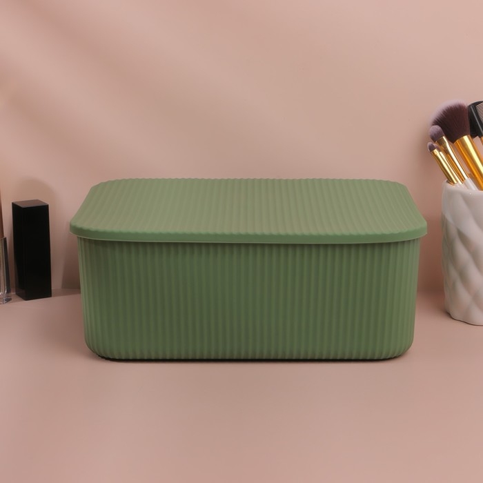 Органайзер для хранения косметических принадлежностей, с крышкой, 24 × 16,5 × 9,2 см, цвет МИКС Органайзер для хранения косметических принадлежностей, с крышкой, 24 × 16,5 × 9,2 см, цвет МИКС