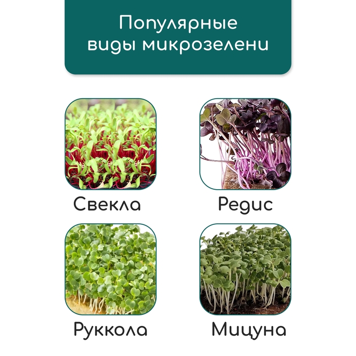 Коврик из кокосового волокна, для выращивания микрозелени, 50 &times; 25 см, Greengo