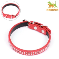 Ошейник рифленый с 2 рядами клепок, 33 х 1,2 см, ОШ 23-29, красный Ошейник рифленый с 2 рядами клепок, 33 х 1,2 см, ОШ 23-29, красный