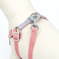 Комплект Sport+, XS, поводок 120 x 1,5 см, ОШ 37-39 см, ОГ 41-46 см, вес животного 4-6 кг, розовый Комплект Sport+, XS, поводок 120 x 1,5 см, ОШ 37-39 см, ОГ 41-46 см, вес животного 4-6 кг, розовый